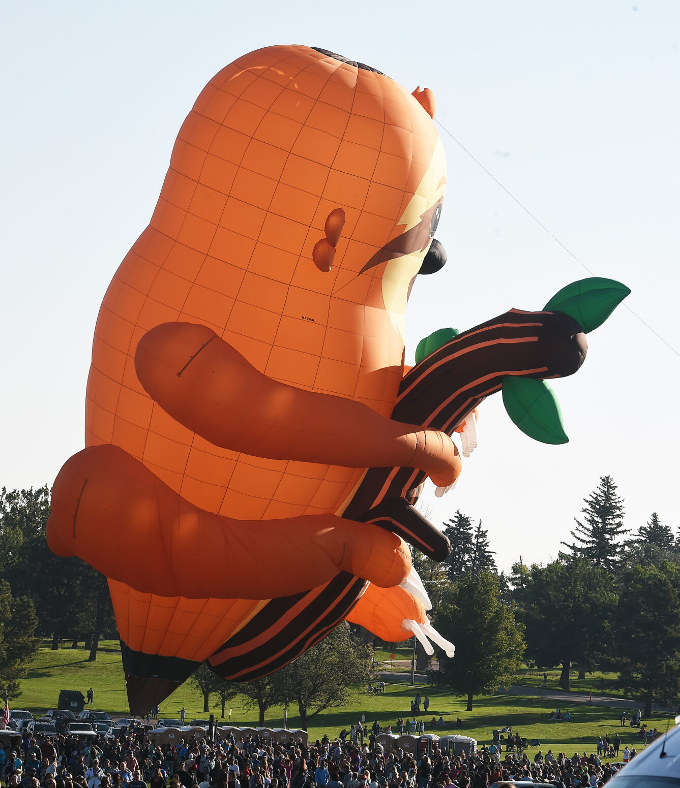 090521-news-balloons 107.JPG